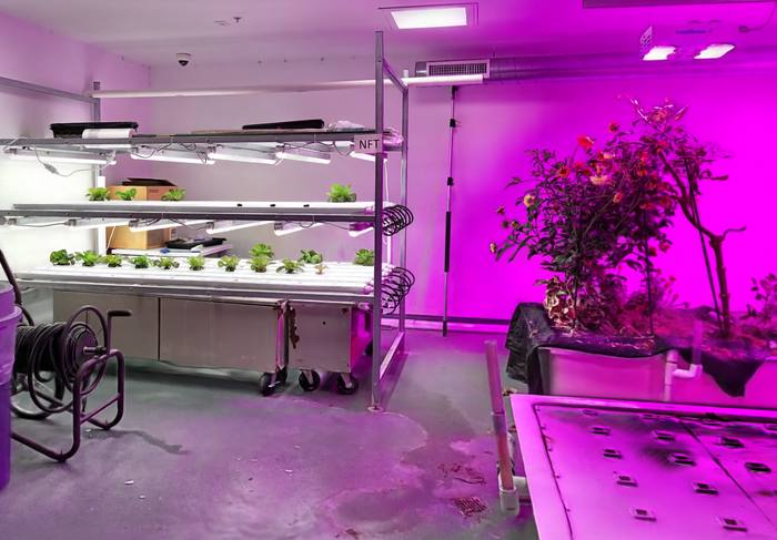 Hydroponics Lab
